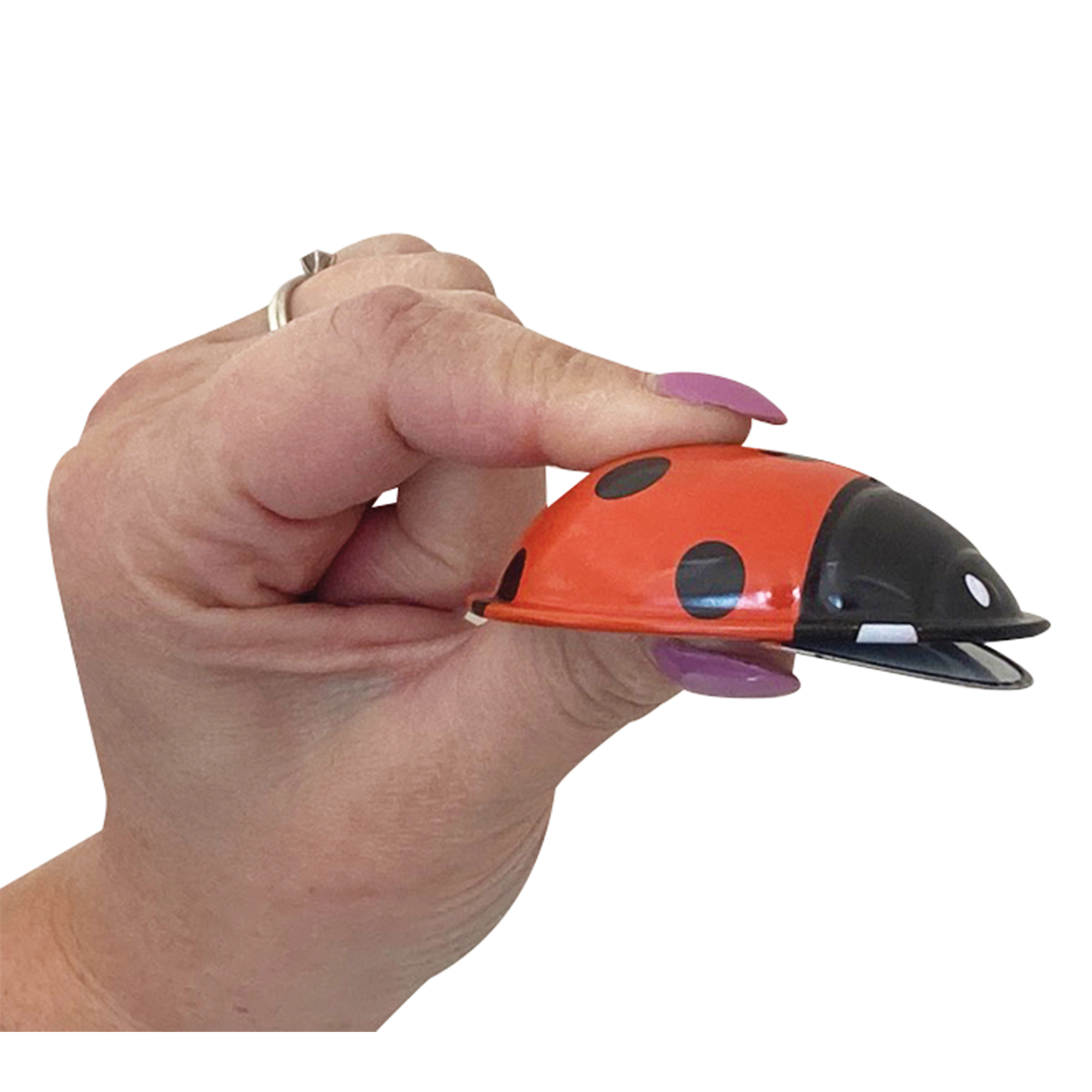 Klick Klack Marienkäfer